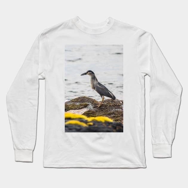 Black-crowned night heron 4 Long Sleeve T-Shirt by KensLensDesigns